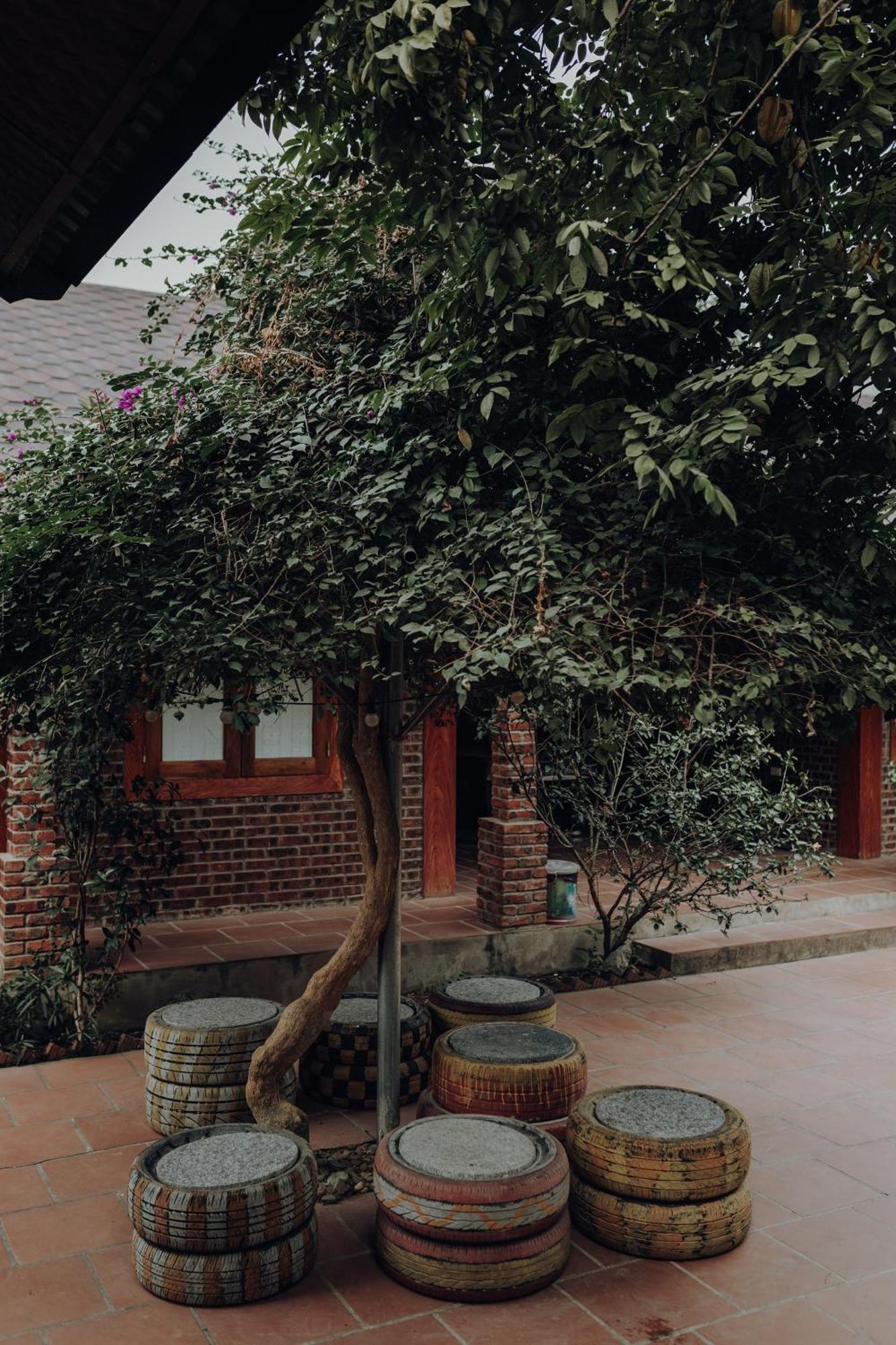 Ninh Binh Palm Homestay Exterior photo