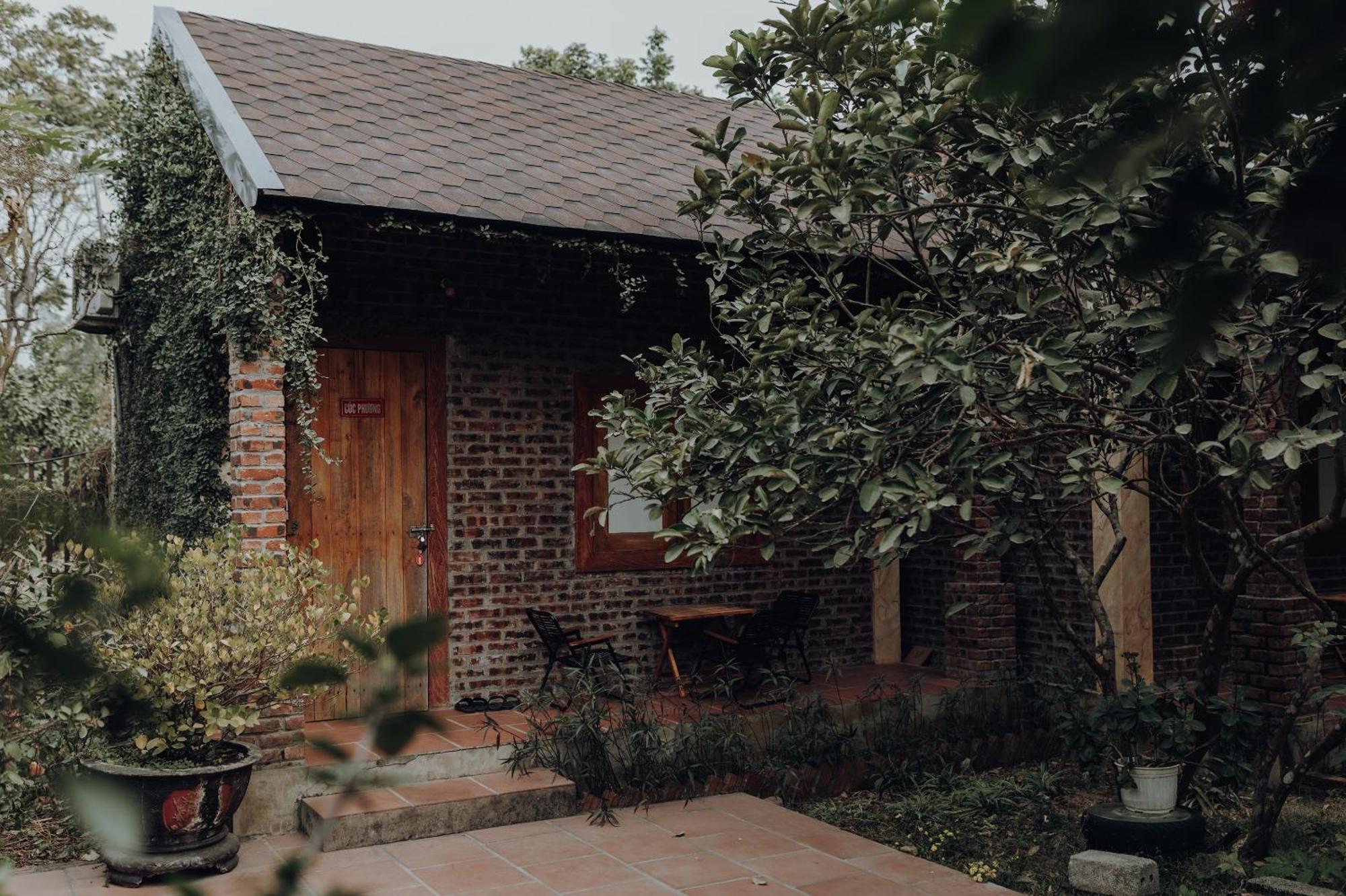 Ninh Binh Palm Homestay Exterior photo